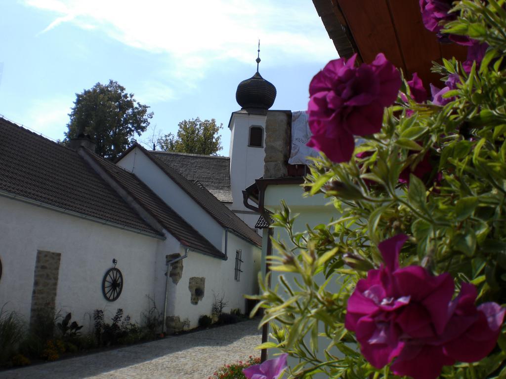 Hotel Penzion Cas Český Rudolec Exterior foto